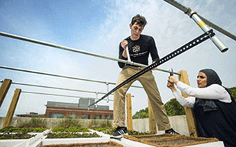 Students construct a green roof.